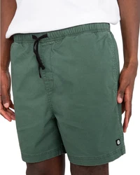 Element Shorts Valley Twill Dunkelgrün/Grün