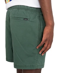 Element Shorts Valley Twill Dunkelgrün/Grün