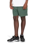 Element Shorts Valley Twill Dunkelgrün/Grün