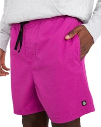 Element Shorts Valley Twill Rosa