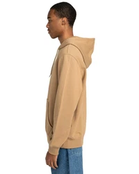 Element Hoodie Skateboard Co Beige/Khaki/Braun