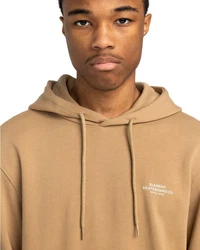 Element Hoodie Skateboard Co Beige/Khaki/Braun