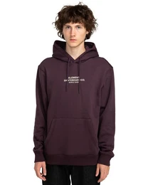 Hoodie Skateboard Co