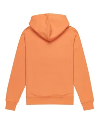 Element Kapuzensweatshirt Icon Po 