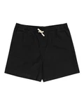 Element Shorts Chillin Twill 
