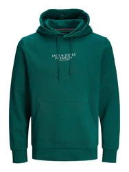Jack & Jones Sweatshirt JPRBLUArchie Dunkelgrün/Grün/Türkis