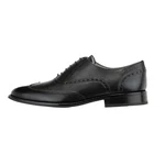 Strellson Herren Lace Up Jones New Harley Brogue Sneaker Schwarz/Braun/Hellblau