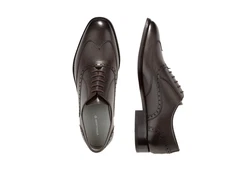 Strellson Herren Lace Up Jones New Harley Brogue Sneaker Dunkelbraun/Braun/Bordeaux