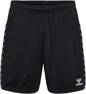 hummel Shorts HMLAUTHENTIC PL SHORTS