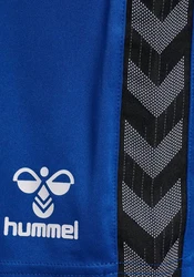 hummel Shorts HMLAUTHENTIC PL SHORTS 