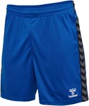 hummel Shorts HMLAUTHENTIC PL SHORTS 