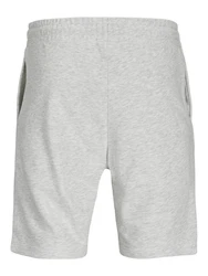 JACK & JONES Shorts 'JPSTGordon Simon' 