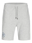 JACK & JONES Shorts 'JPSTGordon Simon' 