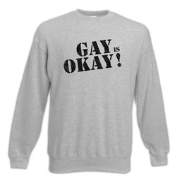 Sweatshirt Gay Is Okay Sweatshirt Lesbian Homophil LGBT LGBTQ Schwul Love GLBT (1-tlg) Queer Diversity Love
