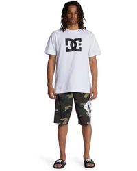 DC Shoes Boardshorts Lanai 