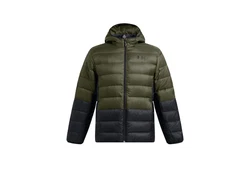 Under Armour Daunenjacke Legend Down Hooded Jacket (1385837) 1385837