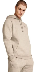 Under Armour Sweatshirt UA ICON FLEECE HOODIE Khaki/Braun/Beige/Grau
