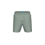 Arena Badeshorts Fundamentals Logo R Grau