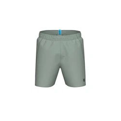 Arena Badeshorts Fundamentals Logo R Grau