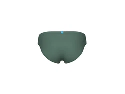 Arena Badeshorts SANTAMARIAS R Salbei/Fluorot
