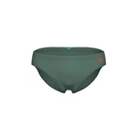 Arena Badeshorts SANTAMARIAS R Salbei/Fluorot