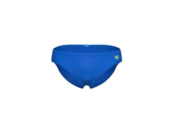 Arena Badeshorts SANTAMARIAS R blau/grün