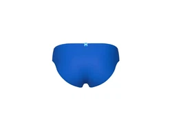 Arena Badeshorts SANTAMARIAS R blau/grün