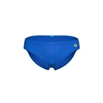 Arena Badeshorts SANTAMARIAS R blau/grün