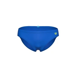 Arena Badeshorts SANTAMARIAS R blau/grün