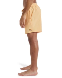 QUIKSILVER Boardshorts 'SURFSILK' Khaki/Beige/Braun/Orange