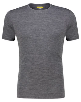 Icebreaker Kurzarmshirt Anatomica SS Crewe