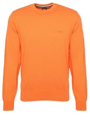 Strickpullover Pacas-L (1-tlg)