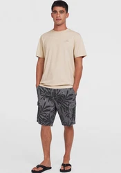 O'Neill T-Shirt Small Logo 