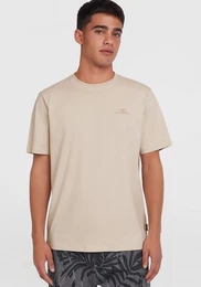 T-Shirt Small Logo T-Shirt