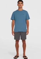 O'Neill T-Shirt Small Logo 