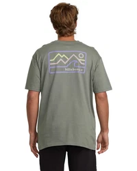 Billabong T-Shirt Range 