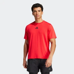 T-Shirt D4T INT. TEE