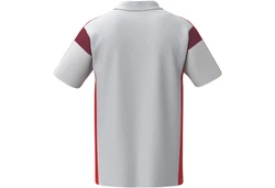 Erima Poloshirt Celebrate 125 Grau/Rot/Weiß/Hellgrau/Dunkelrot