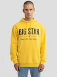 BIG STAR Kapuzensweatshirt ASHLYNO 