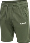 hummel Shorts Hmllegacy Dunkelgrün/Grün
