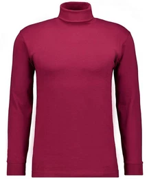 Rollkragenshirt