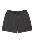QUIKSILVER Badeshorts 'EVERYDAY' 
