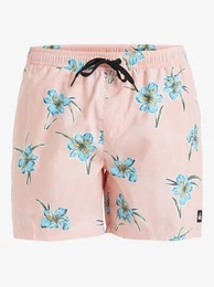 Boardshorts Everyday Straight 15