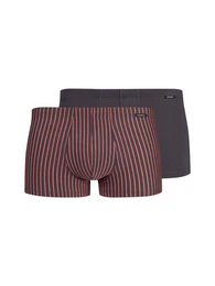 Retro Pants Herren Pant 2er Pack Cotton Advantage (Packung, 2-St) -