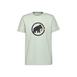 T-Shirt Core T-Shirt Men Classic SILVER SAGE