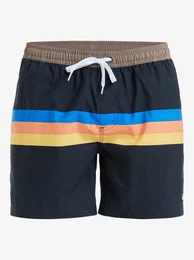 Boardshorts Everyday Straight 15