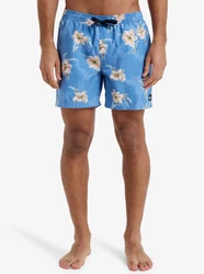Quiksilver Boardshorts Everyday Straight Blau