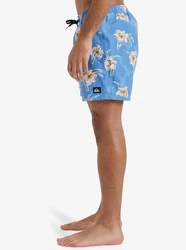 Quiksilver Boardshorts Everyday Straight Blau