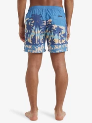 Quiksilver Boardshorts Everyday Straight 