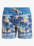 Quiksilver Boardshorts Everyday Straight 